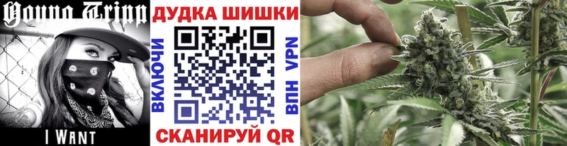 Шишки марихуана ГИДРОПОН  хочу   Бежецк 